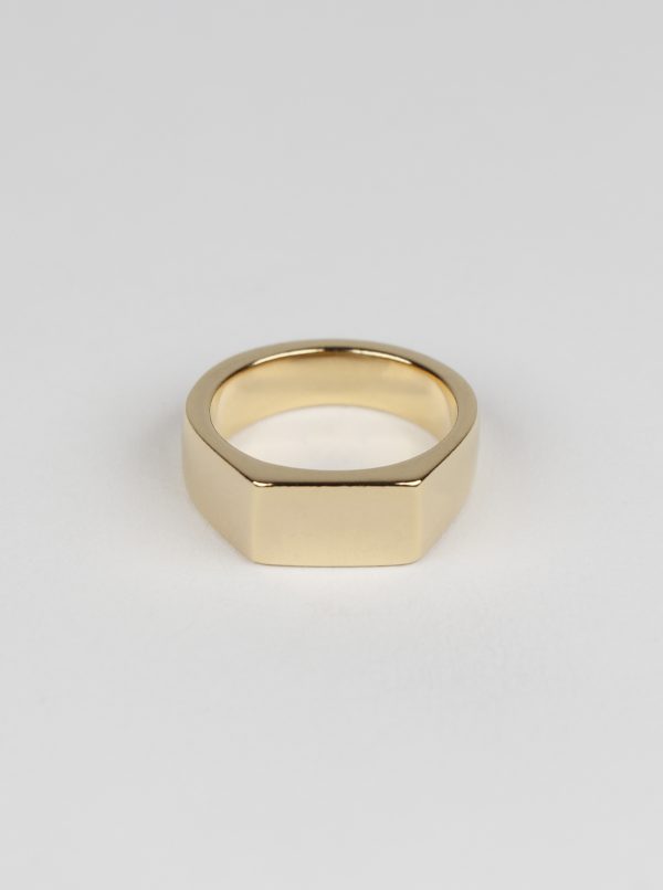 Type 003 Rectangle Signet Ring | 9k Gold - Cameron Studio